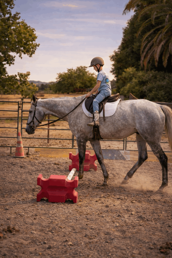 Big Flint - riding Big Flint, a large OTTB thoroughbred with his young new owner.
