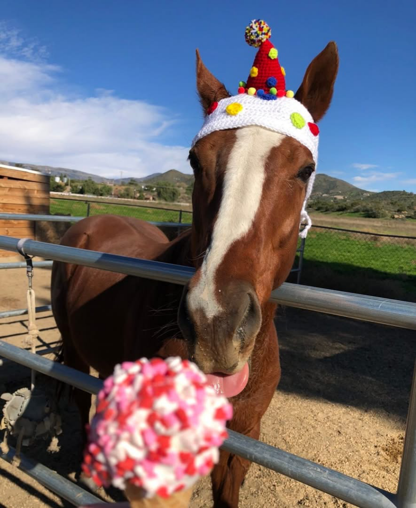 Sunrise Journey loves being spoilt! Sunrise Journey loves being spoilt!