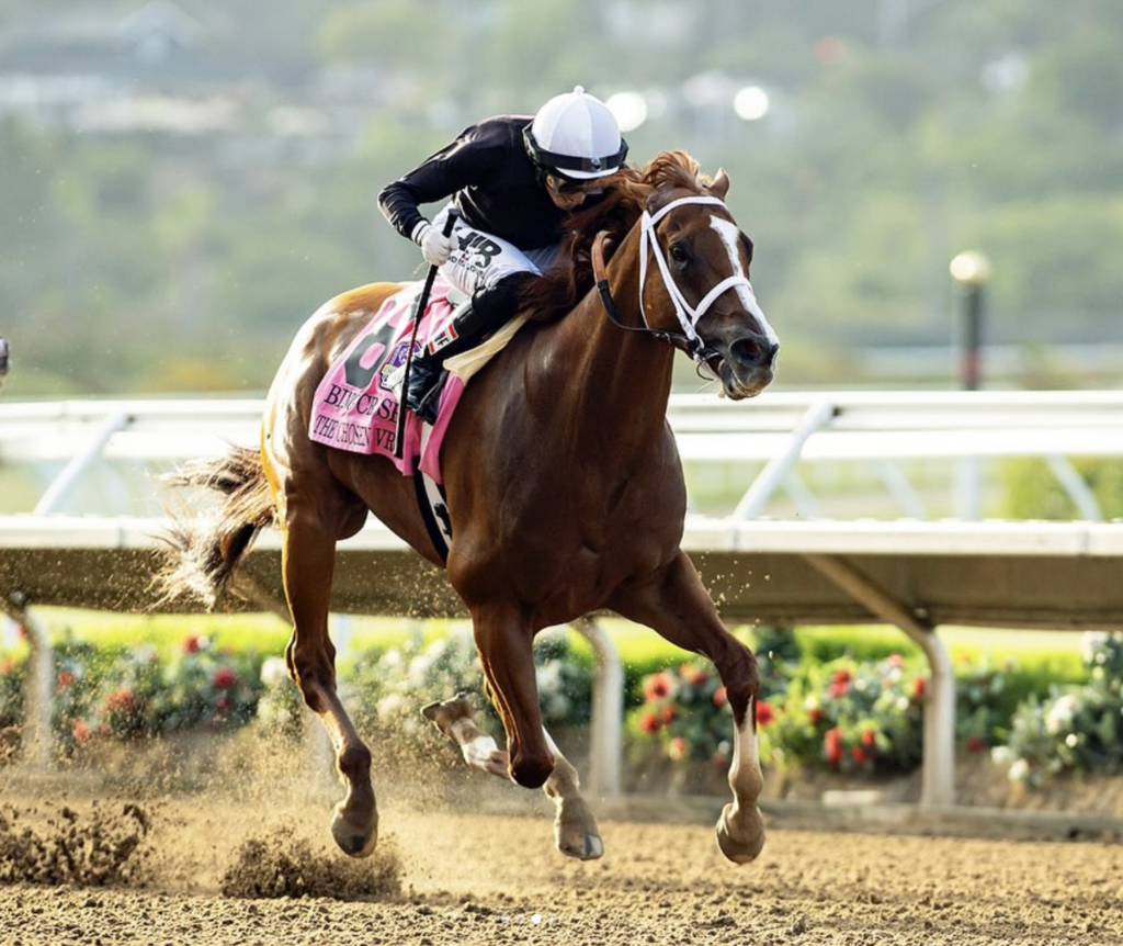 The Chosen Vron before retiring to the KERRI program